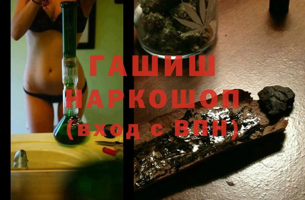 spice Гусев