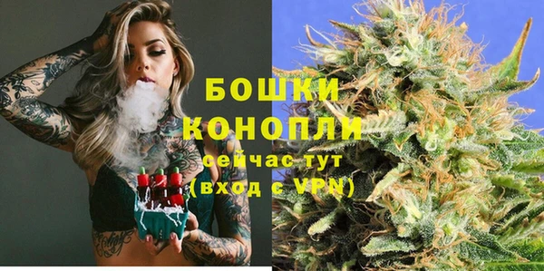 PSILOCYBIN Армянск
