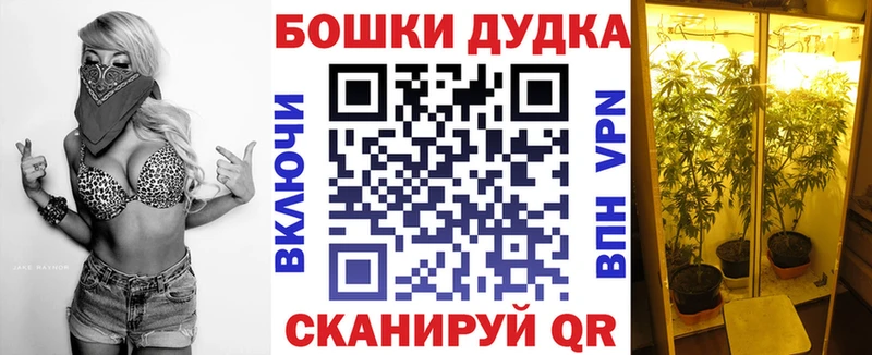 Бошки Шишки сатива  купить наркоту  Дюртюли 